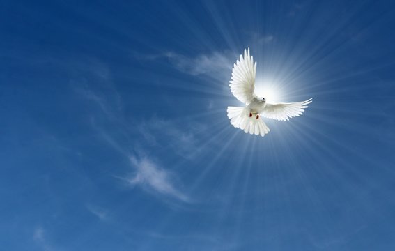 24. Friedensgespräch